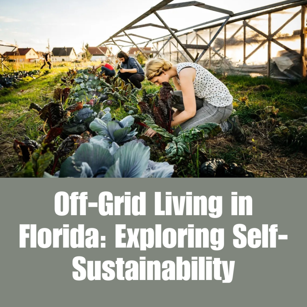 Off-Grid Living in Florida: Exploring Self-Sustainability