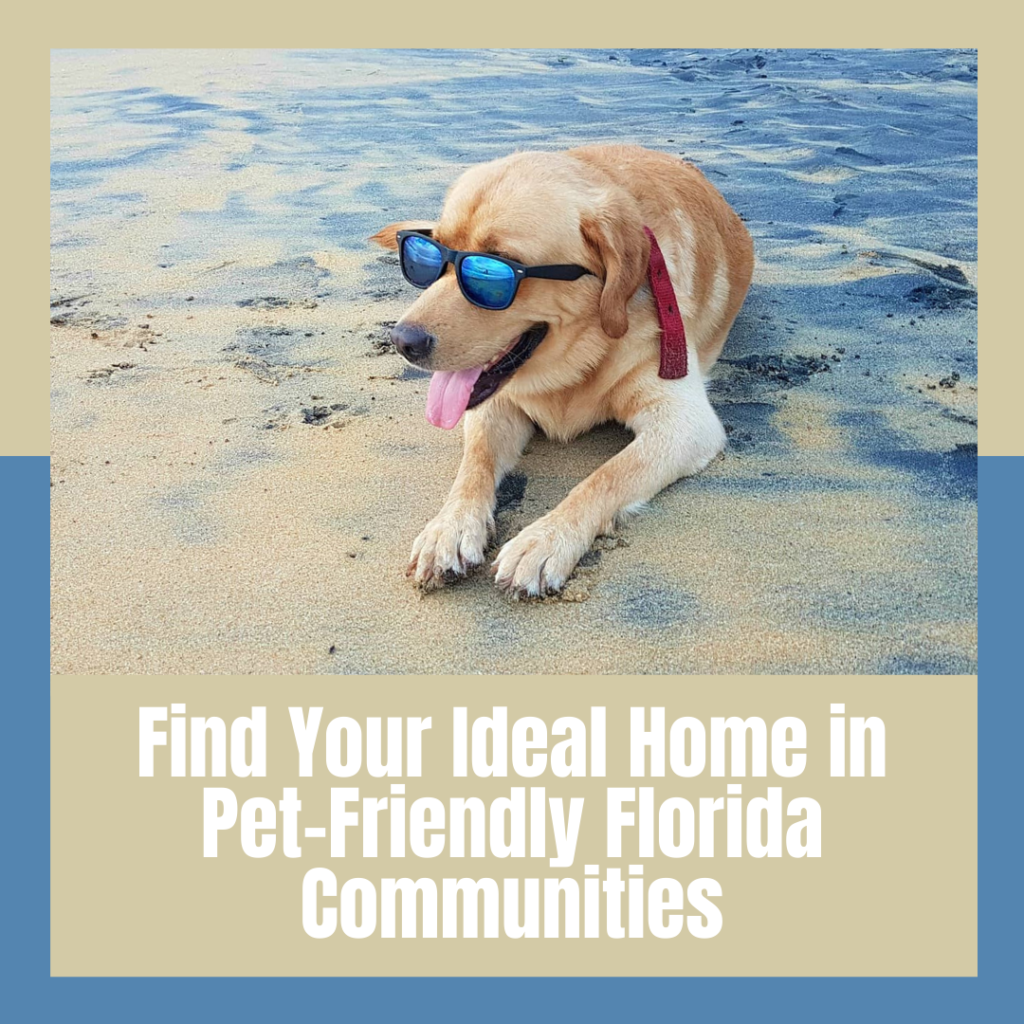 Find Your Ideal Home in Pet-Friendly Florida Communities