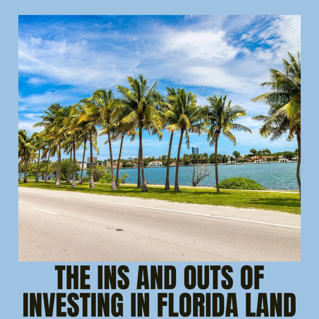 The Ins and Outs of Investing in Florida Land